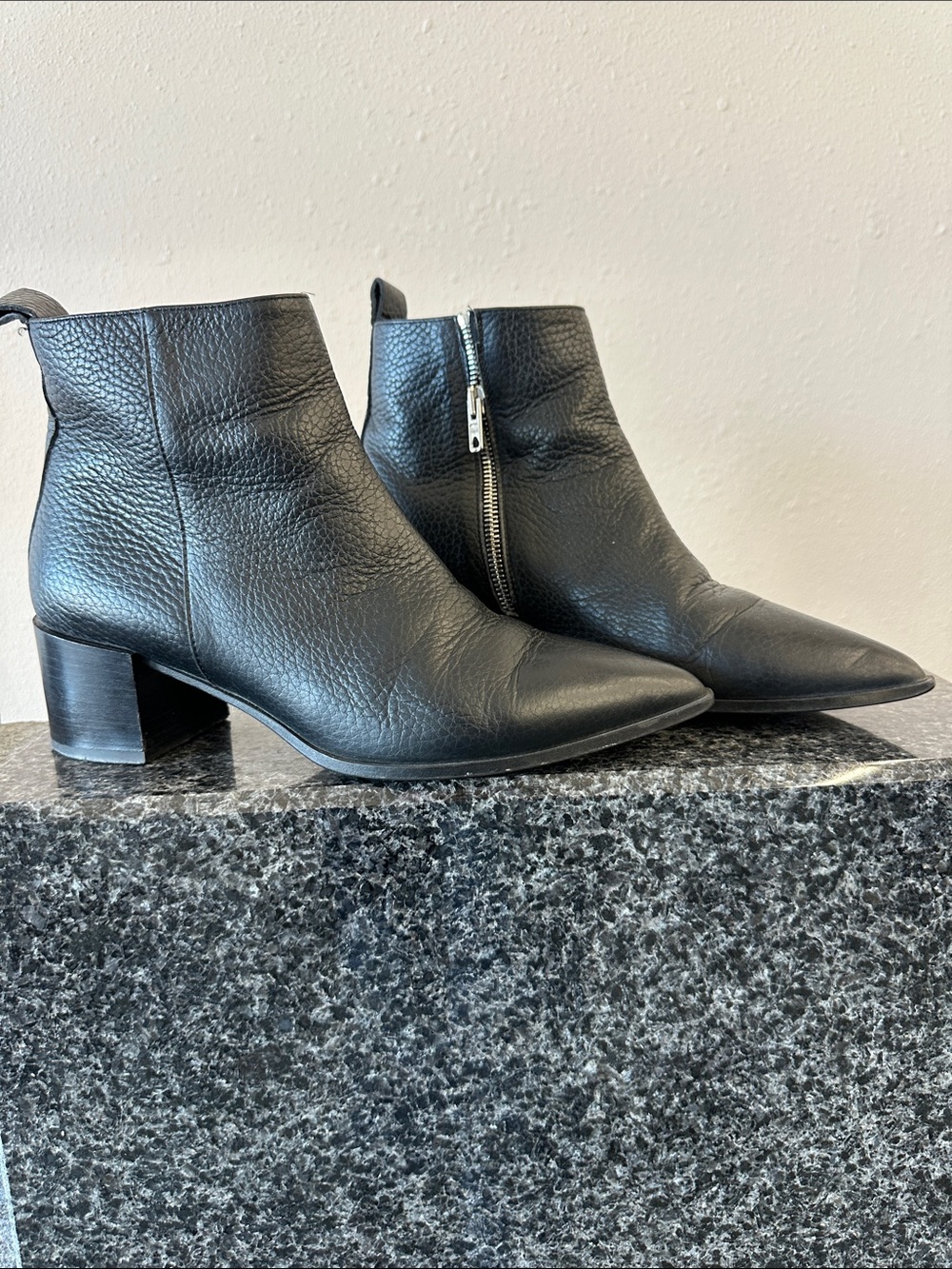 Everlane Women's Black Leather Pointy Toe Ankle Boots zip up